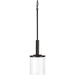 Progress Lighting Mast Collection One-Light Mini-Pendant (P500192-020)