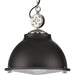 Progress Lighting Medal Collection Graphite One-Light Pendant (P500212-143)