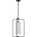 Progress Lighting Merry Collection 1 Light 100W Medium Base Hall And Foyer Fixture (P500333-031)
