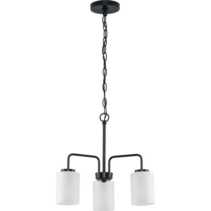 Progress Lighting Merry Collection 3 Light 100W Medium Base Chandelier (P400274-031)