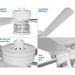 Progress Lighting Midvale Collection 56 Inch 5-Blade Ceiling Fan (P250011-028-WB)