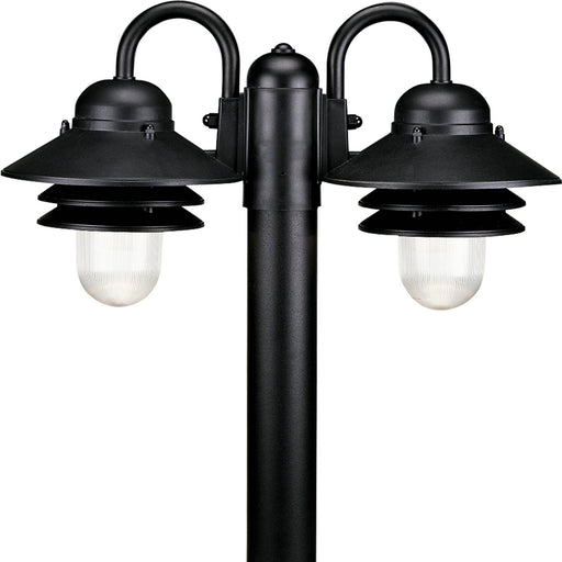 Progress Lighting Newport Collection Non-Metallic Two-Light Post Lantern (P5493-31)