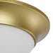 Progress Lighting One-Light 11-1/2 Inch Etched Glass Flush Mount (P350146-012)