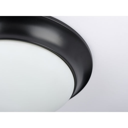 Progress Lighting One-Light 11-1/2 Inch Etched Glass Flush Mount (P350146-031)