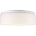 Progress Lighting One-Light 11 Inch LED Drum Flush Mount 3000K (P730005-030-30)