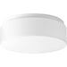 Progress Lighting One-Light 11 Inch LED Drum Flush Mount 3000K (P730005-030-30)