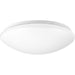 Progress Lighting One-Light 13-1/2 Inch Cloud LED Flush Mount 3000K (P730006-030-30)