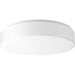 Progress Lighting One-Light 17 Inch LED Drum Flush Mount 3000K (P730003-030-30)
