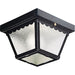 Progress Lighting One-Light 7-1/2 Inch Flush Mount For Indoor/Outdoor Use (P5727-31)