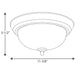 Progress Lighting One-Light Dome Glass 11-3/8 Inch Close-To-Ceiling (P3924-20ET)