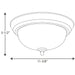 Progress Lighting One-Light Dome Glass 11-3/8 Inch Close-To-Ceiling (P3924-80)