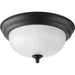 Progress Lighting One-Light Dome Glass 11-3/8 Inch Close-To-Ceiling (P3924-80)
