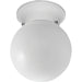 Progress Lighting One-Light Glass Globe 6 Inch Close-To-Ceiling (P3605-30)