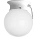 Progress Lighting One-Light Glass Globe 6 Inch Close-To-Ceiling (P3605-30SW)