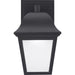 Progress Lighting One-Light LED Small Wall Lantern 3000K (P560136-031-30)