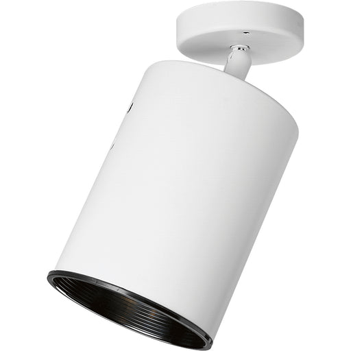 Progress Lighting One-Light Multi Directional Wall/Ceiling Heat Lamp (P6397-30)