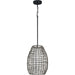 Progress Lighting Pawley Collection 1 Light 100W Medium Base Outdoor Pendant Fixture (P550083-031)
