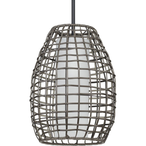 Progress Lighting Pawley Collection 1 Light 100W Medium Base Outdoor Pendant Fixture (P550083-031)