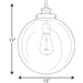 Progress Lighting Penn Collection One-Light Large Pendant (P5328-104)