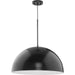 Progress Lighting Perimeter Collection 100W One-Light Pendant Matte Black (P500380-31M)