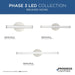 Progress Lighting Phase 3 LED Collection 18W 24 Inch LED Vanity Fixture Brushed Nickel (P300411-009-CS)