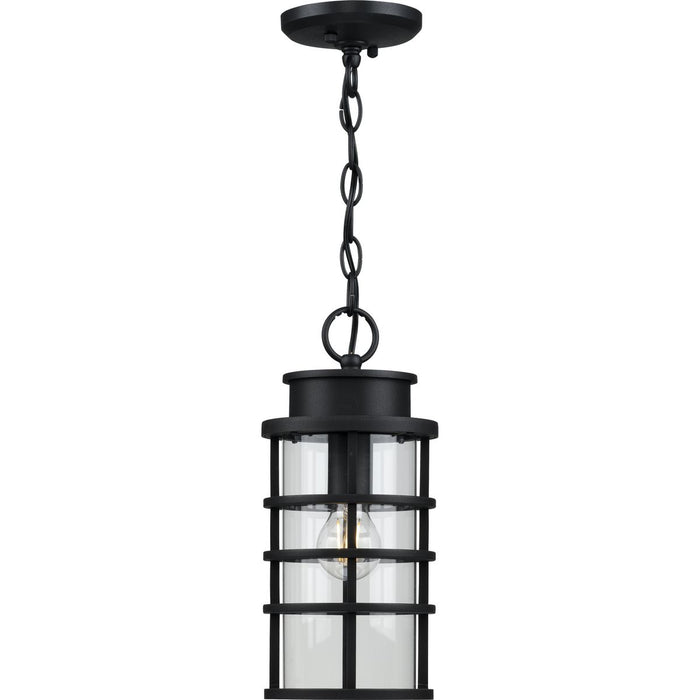 Progress Lighting Port Royal Collection One-Light Hanging Lantern With Durashield (P550061-031)