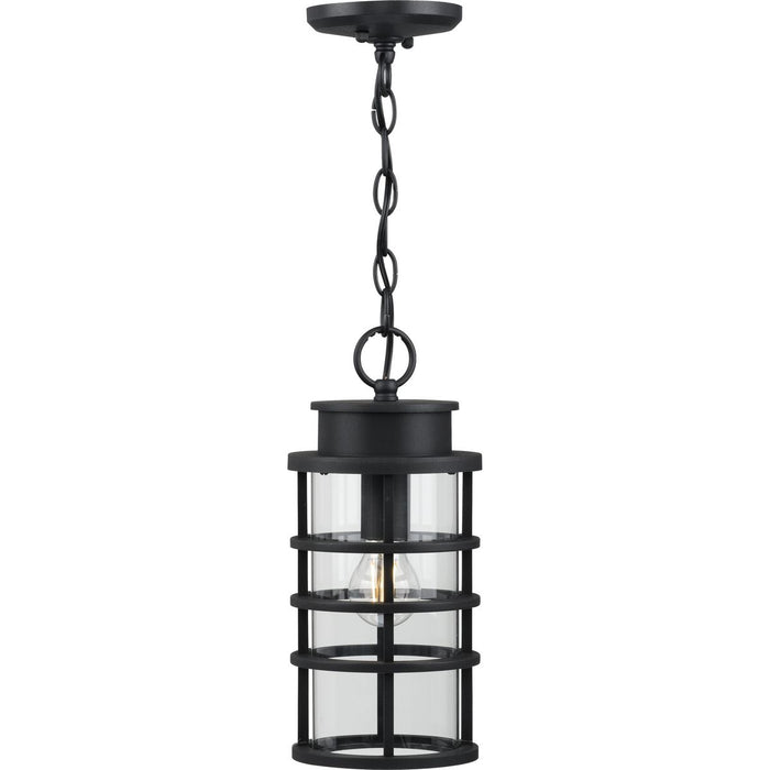 Progress Lighting Port Royal Collection One-Light Hanging Lantern With Durashield (P550061-031)