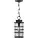 Progress Lighting Port Royal Collection One-Light Hanging Lantern With Durashield (P550061-031)