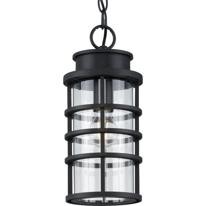 Progress Lighting Port Royal Collection One-Light Hanging Lantern With Durashield (P550061-031)