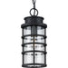 Progress Lighting Port Royal Collection One-Light Hanging Lantern With Durashield (P550061-031)