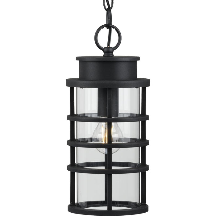 Progress Lighting Port Royal Collection One-Light Hanging Lantern With Durashield (P550061-031)