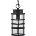 Progress Lighting Port Royal Collection One-Light Hanging Lantern With Durashield (P550061-031)