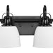 Progress Lighting Preston Collection 100W Four-Light Bath Fixture Matte Black (P300429-31M)