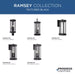 Progress Lighting Ramsey Collection 60W Three-Light Hang Lantern Black (P550132-031)