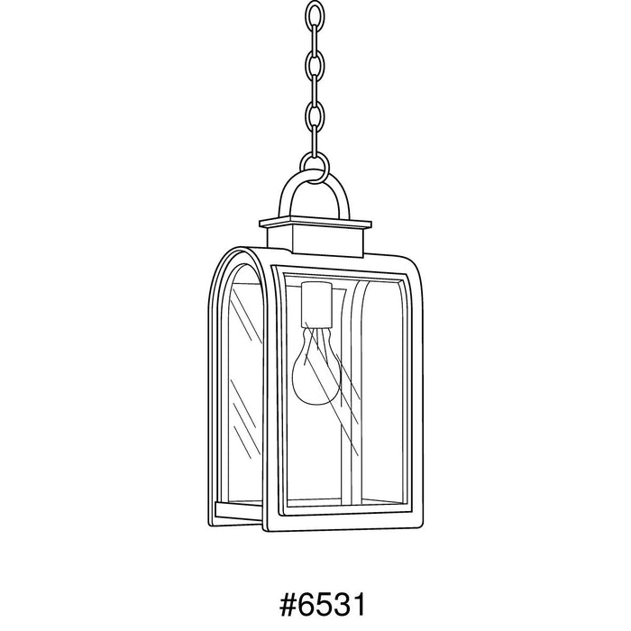 Progress Lighting Refuge Collection One-Light Hanging Lantern (P6531-108)