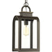 Progress Lighting Refuge Collection One-Light Hanging Lantern (P6531-108)