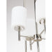 Progress Lighting Replay Collection Four-Light Foyer Pendant (P500206-104)