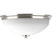 Progress Lighting Replay Collection Two-Light 14 Inch Flush Mount (P3423-09)