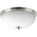 Progress Lighting Replay Collection Two-Light 14 Inch Flush Mount (P3423-09)