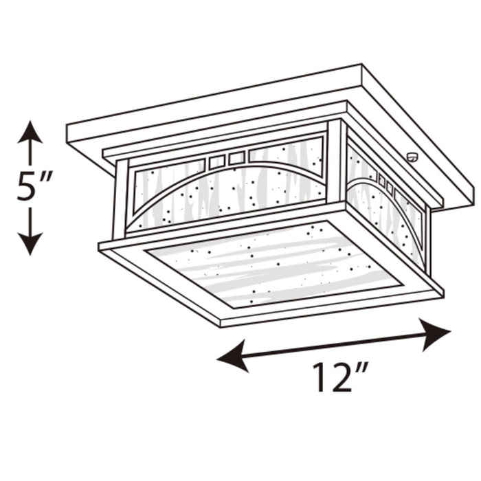 Progress Lighting Residence Collection Two-Light 12 Inch Outdoor Flush Mount CTC (P6055-20)