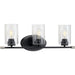 Progress Lighting Riley Collection Black Three-Light Bath (P300278-031)