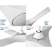 Progress Lighting Ryne Collection 52 Inch 3 Blade Ceiling Fan (P250060-028-30)