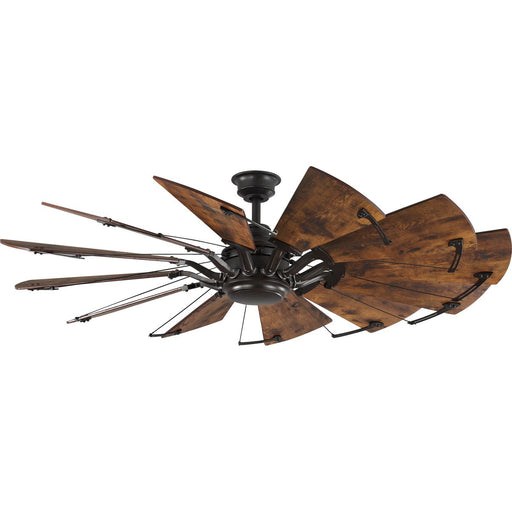 Progress Lighting Springer Collection 60 Inch Twelve-Blade 60 Inch Ceiling Fan (P250000-129)