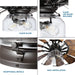 Progress Lighting Springer Collection Ceiling Fan Light Kit (P260000-129-WB)