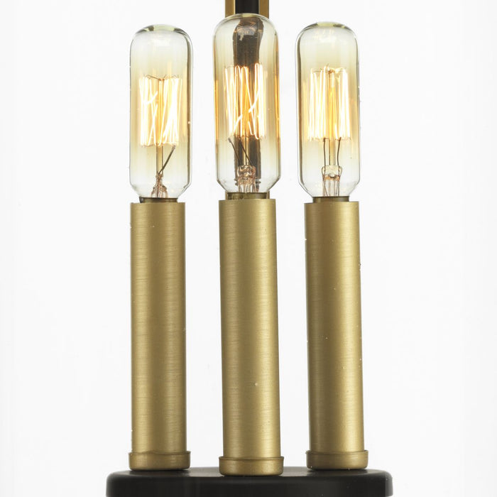 Progress Lighting Squire Collection Three-Light Hanging Lantern (P550012-020)