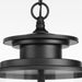 Progress Lighting Squire Collection Three-Light Hanging Lantern (P550012-031)