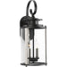 Progress Lighting Squire Collection Two-Light Medium Wall Lantern (P560037-031)