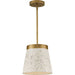 Progress Lighting Terrazzo Collection 1 Light 75W Medium Base Pendant Fixture (P500313-175)