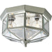 Progress Lighting Three-Light Beveled Glass 9-3/4 Inch Close-To-Ceiling (P5788-09)