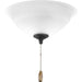 Progress Lighting Torino Collection Two-Light Ceiling Fan Light 3000K (P2645-01WB)